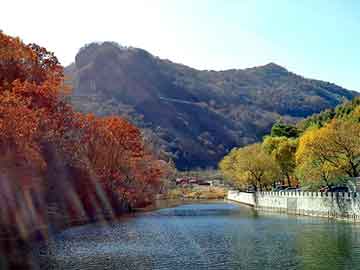 新澳天天开奖资料大全旅游团，单晶边皮回收